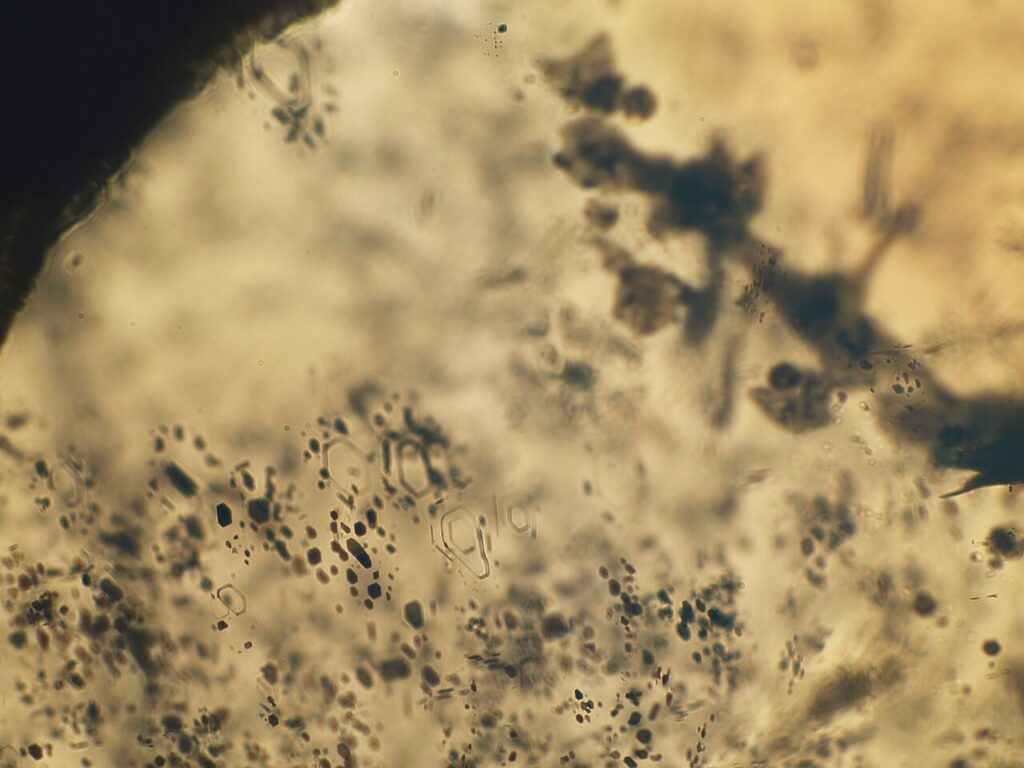 Mikroskopowe zdjęcie drobnych inkluzji mineralnych w diamencie